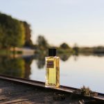 عطر ادکلن سیکومور او دو پرفیوم شانل - Sycomore Eau de Parfum Chanel - بررسی، قیمت و خرید