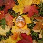 عطر ادکلن بوشِرون بوشرون - Boucheron Boucheron - بررسی، قیمت و خرید