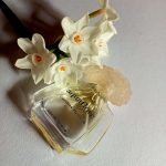 عطر ادکلن آکوافلور کارولینا هررا - AquaFlore Carolina Herrera - بررسی، قیمت و خرید