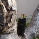 عطر ادکلن گوچی گیلتی عود گوچی - Gucci Guilty Oud Gucci - بررسی، قیمت و خرید