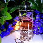 عطر ادکلن اُ دِ کارتیر اِسَنس دِ بوا کارتیه - Eau de Cartier Essence de Bois Cartier - بررسی، قیمت و خرید