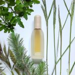 عطر ادکلن کلینیک رپینگس کلینیک - Clinique Wrappings Clinique - بررسی، قیمت و خرید