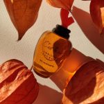 عطر ادکلن سه لَ وی کریستین لاکروآ - C'est La Vie Christian Lacroix - بررسی، قیمت و خرید