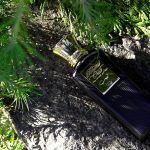 عطر ادکلن تیب بلند عود - Teeb Blend Oud - بررسی، قیمت و خرید