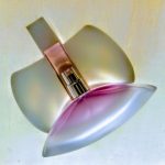 عطر ادکلن یوفوریا بلوسوم کلوین کلاین - Euphoria Blossom Calvin Klein - بررسی، قیمت و خرید