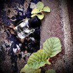 عطر ادکلن ماسک پرفیوم اویل آلیسا اشلی - Musk Perfume Oil Alyssa Ashley - بررسی، قیمت و خرید