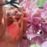 عطر ادکلن دفینیشن کریستینا آگیلرا - Definition Christina Aguilera - بررسی، قیمت و خرید