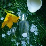 عطر ادکلن آلوِیز ایوون - Always Avon - بررسی، قیمت و خرید