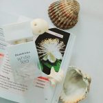 عطر ادکلن وایت تی الیزابت آردن - White Tea Elizabeth Arden - بررسی، قیمت و خرید