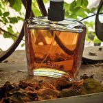 عطر ادکلن سول کاستوم نشنال - Soul CoSTUME NATIONAL - بررسی، قیمت و خرید