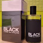 عطر ادکلن بلاک او دو تویلت کوم د گارسون - Black Eau de Toilette Comme des Garcons - بررسی، قیمت و خرید