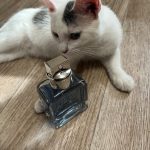 عطر ادکلن ایتـِرنیتی آکوا فور من کالوین کلاین - Eternity Aqua for Men Calvin Klein - بررسی، قیمت و خرید