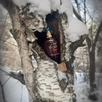 عطر ادکلن سه‌لافت پاتچولی کریستین لاکروآ - C'est la Fete Patchouli Christian Lacroix - بررسی، قیمت و خرید