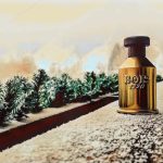 عطر ادکلن دولچه دی جورنو بوی ۱۹۲۰ - Dolce di Giorno Bois 1920 - بررسی، قیمت و خرید