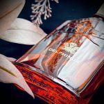 عطر ادکلن دلفینوس کرید - Delphinus Creed - بررسی، قیمت و خرید