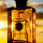 عطر ادکلن بیچ هات من آمواژ - Beach Hut Man Amouage - بررسی، قیمت و خرید