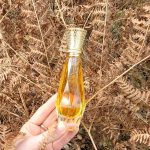 عطر ادکلن اِروتیک دیتا ون تیز - Erotique Dita Von Teese - بررسی، قیمت و خرید