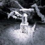 عطر ادکلن بیبی ماسک ال نبیل - Baby Musk El Nabil - بررسی، قیمت و خرید