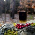 عطر ادکلن سی و چهار بولوار سن ژرمن او دو پرفیوم دیپتیک - 34 Boulevard Saint Germain Eau de Parfum Diptyque - بررسی، قیمت و خرید