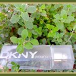 عطر ادکلن دی کی ان وای ومن دونا کارن - DKNY Women Donna Karan - بررسی، قیمت و خرید