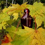 عطر ادکلن سامسارا او دو پرفیوم گرلن - Samsara Eau de Parfum Guerlain - بررسی، قیمت و خرید