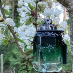عطر ادکلن کوچ گرین کوچ - Coach Green Coach - بررسی، قیمت و خرید