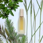 عطر ادکلن کلینیک رپینگس کلینیک - Clinique Wrappings Clinique - بررسی، قیمت و خرید