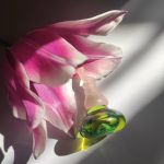 عطر ادکلن فمینا البـرتا فـرتـی - Femina Alberta Ferretti - بررسی، قیمت و خرید