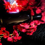 عطر ادکلن اروماتیکس این بلک کلینیک - Aromatics in Black Clinique - بررسی، قیمت و خرید