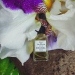 عطر ادکلن شانل نامبر نوزده پرفیوم شانل - Chanel No 19 Parfum Chanel - بررسی، قیمت و خرید