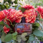عطر ادکلن رز آمبر فراگونارد - Rose Ambre Fragonard - بررسی، قیمت و خرید