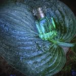 عطر ادکلن اون ژردن سور ل نیل اِرمِس - Un Jardin Sur Le Nil Hermès - بررسی، قیمت و خرید