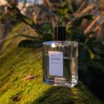 عطر ادکلن لوم اکامپلی دایوین - L'homme Accompli Divine - بررسی، قیمت و خرید