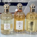 عطر ادکلن مندارین بازلیک هاروست گرلن - Mandarine Basilic Harvest Guerlain - بررسی، قیمت و خرید