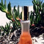 عطر ادکلن جورجیو هالیدی جیورجیو بورلی هیلز - Giorgio Holiday Giorgio Beverly Hills - بررسی، قیمت و خرید