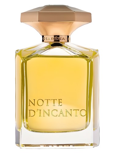 عطر ادکلن نوت دی اینکانتو دیادما اکسکلوسیو - Notte d'Incanto Diadema Exclusif - بررسی، قیمت و خرید