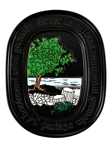 عطر ادکلن فیلوسیکوس سالید پرفیوم دیپتیک - Philosykos Solid Perfume Diptyque - بررسی، قیمت و خرید