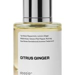 عطر ادکلن سیترس جینجر دوسیه - Citrus Ginger Dossier - بررسی، قیمت و خرید