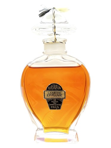 عطر ادکلن کاندید افلوو گرلن - Candide Effluve Guerlain - بررسی، قیمت و خرید