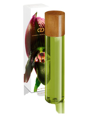 عطر ادکلن سیرا داینا دکر - Sierra DayNa Decker - بررسی، قیمت و خرید