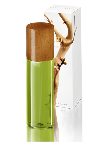 عطر ادکلن مانزانیتا دینا دکر - Manzanita DayNa Decker - بررسی، قیمت و خرید
