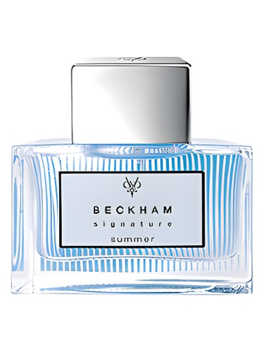 عطر ادکلن سیگنیچر سامر فور هیم دیوید بکهام - Signature Summer for Him David Beckham - بررسی، قیمت و خرید