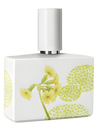عطر ادکلن باسک لیمیتد پورسلین ادیشن هومیچی و گریف - Bosque Limited Porcelain Edition Humiecki & Graef - بررسی، قیمت و خرید