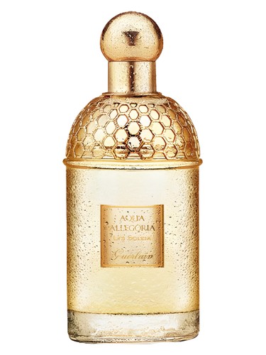 عطر ادکلن آکوا آلگوریا لیز سولیا گرلن - Aqua Allegoria Lys Soleia Guerlain - بررسی، قیمت و خرید