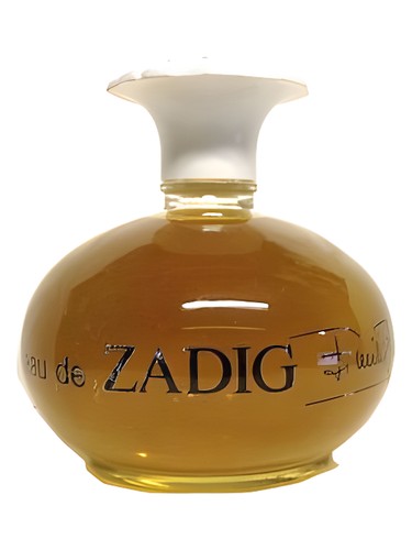 عطر ادکلن اُ دِ زَدیگ اِمیلیو پوچي - Eau de Zadig Emilio Pucci - بررسی، قیمت و خرید