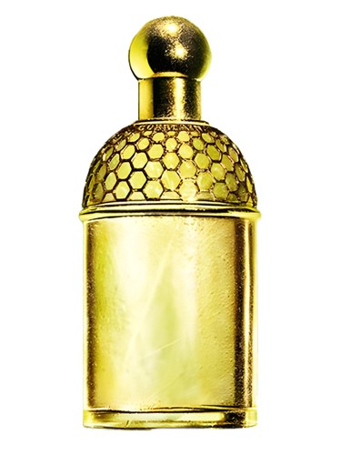 عطر ادکلن آکوا آلگوریا لوریه - رگلیس گرلن - Aqua Allegoria Laurier - Reglisse Guerlain - بررسی، قیمت و خرید