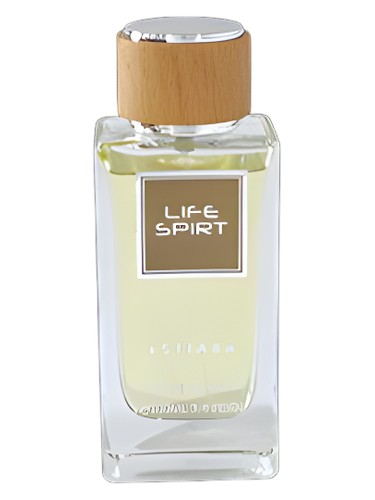 عطر ادکلن لایف اسپریت استیاره - Life Spirit Estiara - بررسی، قیمت و خرید
