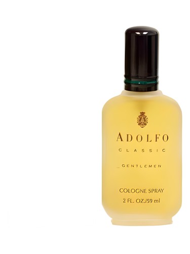 عطر ادکلن آدولفو کلاسیک جنتلمن فرانسیس دنی - Adolfo Classic Gentlemen Frances Denney - بررسی، قیمت و خرید