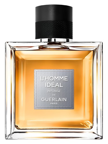 عطر ادکلن لهم ایدéal له اینتنس گرلن - L'Homme Idéal L'Intense Guerlain - بررسی، قیمت و خرید