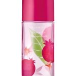 عطر ادکلن گرین تی پومگرنیت الیزابت آردن - Green Tea Pomegranate Elizabeth Arden - بررسی، قیمت و خرید